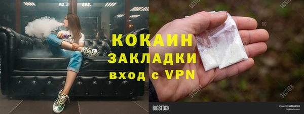 винт Богданович