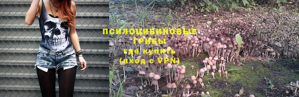 винт Богданович
