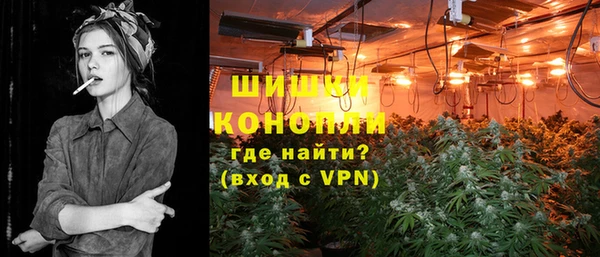 винт Богданович