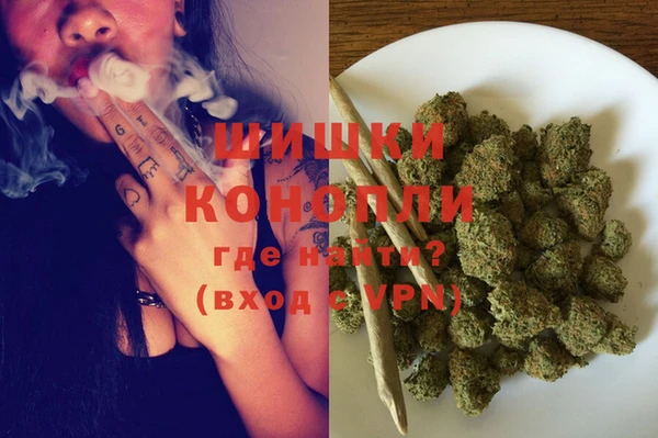 винт Богданович