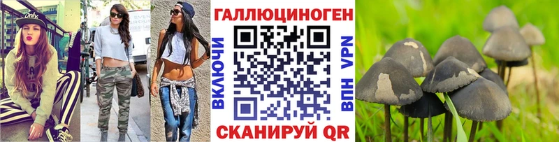 Галлюциногенные грибы Cubensis  Купить  Северск 